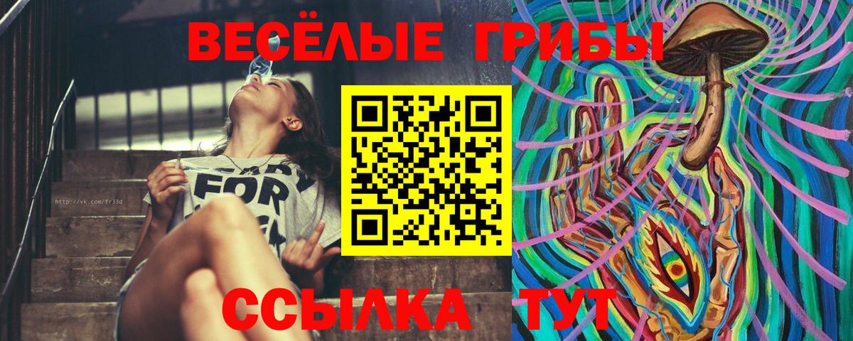 Псилоцибиновые грибы Psilocybine cubensis Щёкино